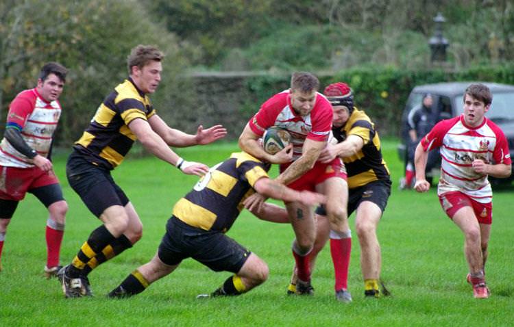 Rugby Reports for 14th November 2015