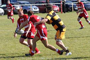 Rugby Reports 11th October 2014