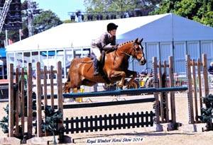 Amy’s ace and Troy is terrific over fences !