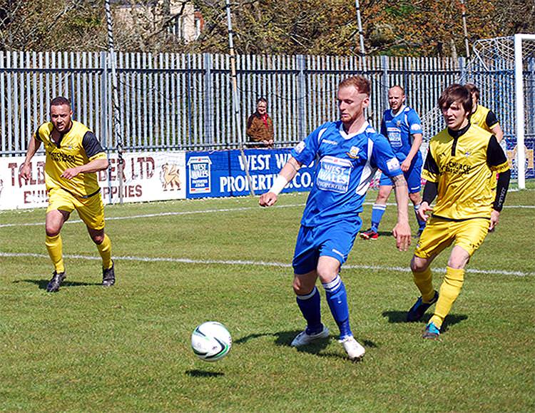 Bluebird ‘Sully’ puts on his boxing gloves again