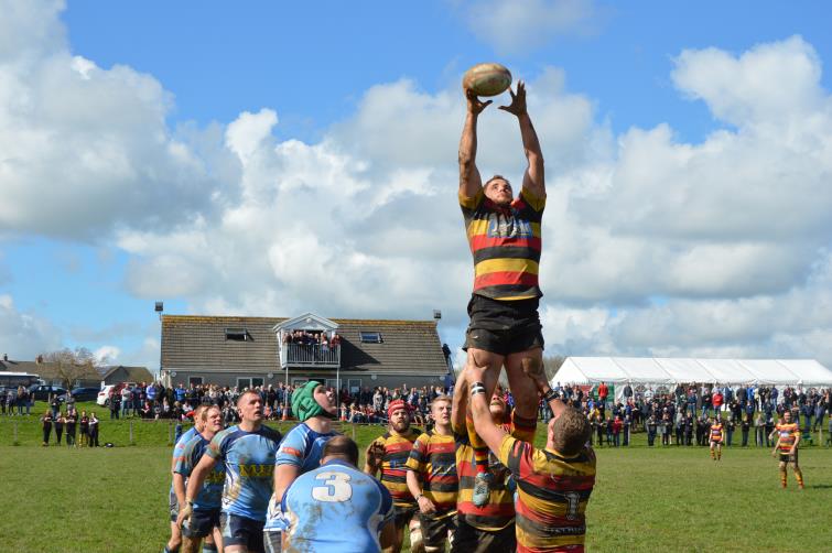 Cardigan win clean lineout possession