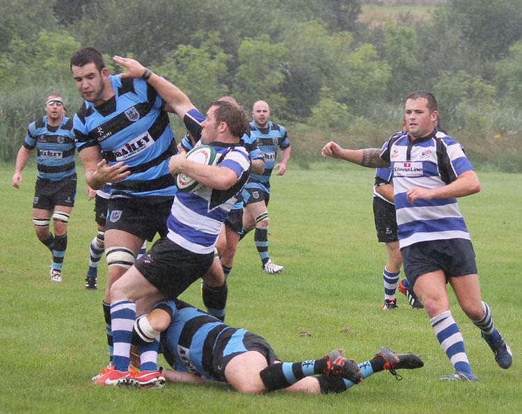 Seagulls entertain Premiership side Cardiff at The Moors