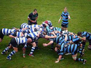 Seagulls entertain Premiership side Cardiff at The Moors