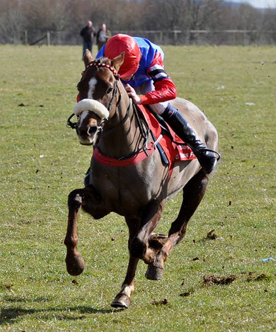 Lorcan’s leading the way in pony racing