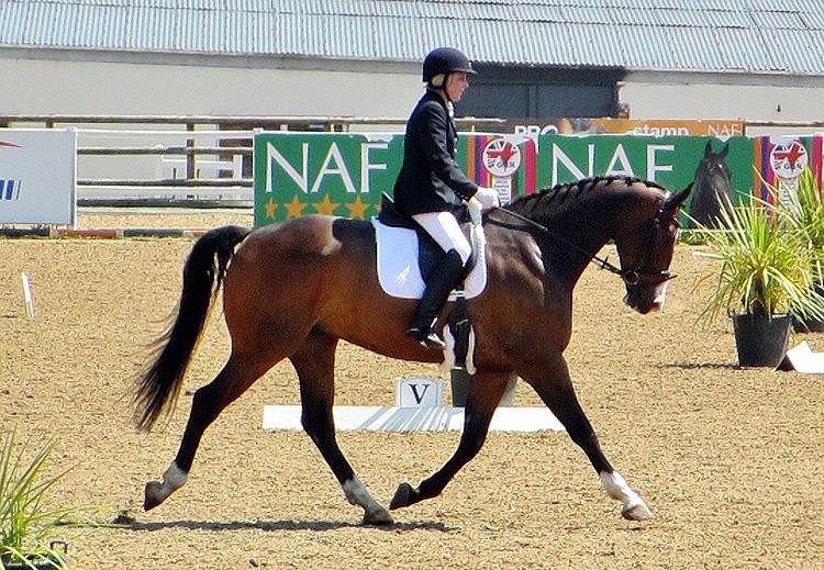 Sharon’s a shining light in the world of dressage!